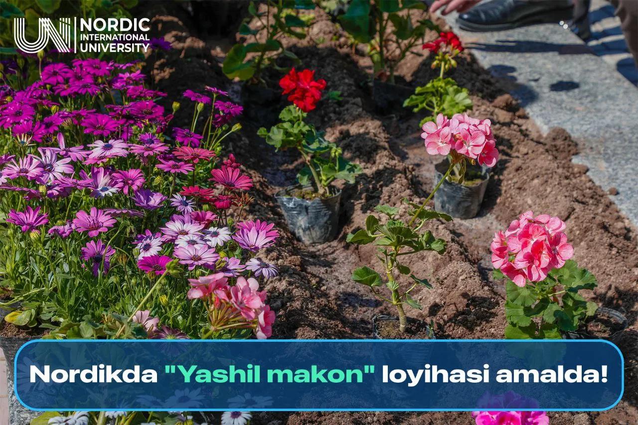 Nordik universitetida ko‘kalamzorlashtirish aksiyasi o‘tkazildi!
