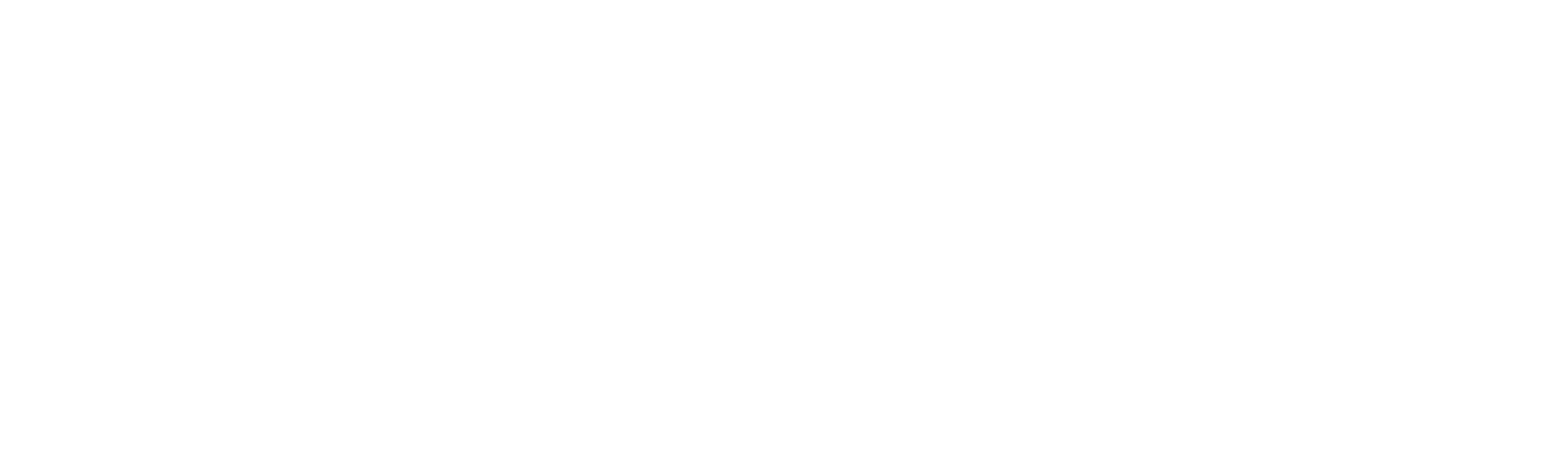 Nordic International University logo — Gorizontal logotip — oq